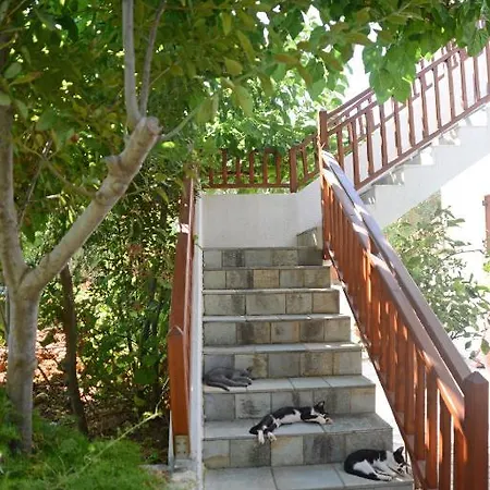 Apartamento Ekati *
